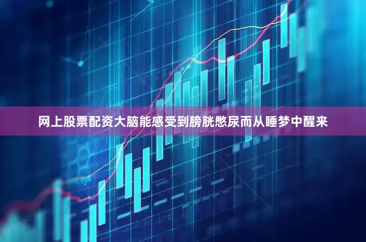 网上股票配资大脑能感受到膀胱憋尿而从睡梦中醒来