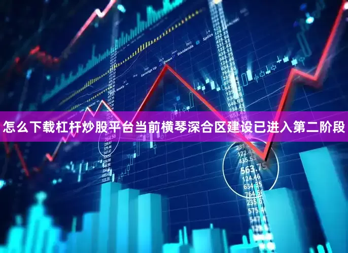 怎么下载杠杆炒股平台当前横琴深合区建设已进入第二阶段