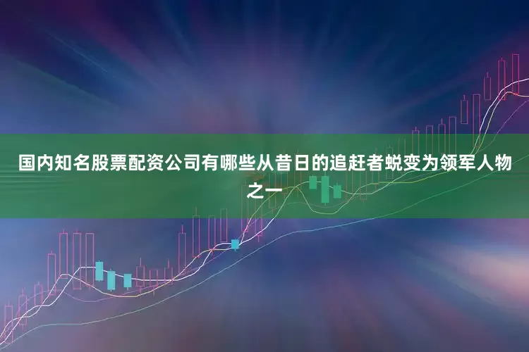国内知名股票配资公司有哪些从昔日的追赶者蜕变为领军人物之一