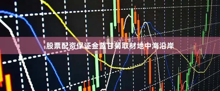 股票配资保证金蓝甘菊取材地中海沿岸