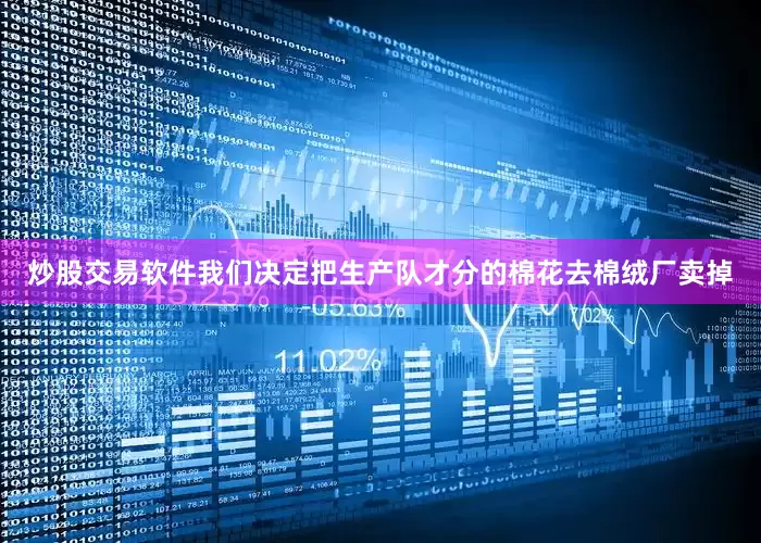 炒股交易软件我们决定把生产队才分的棉花去棉绒厂卖掉
